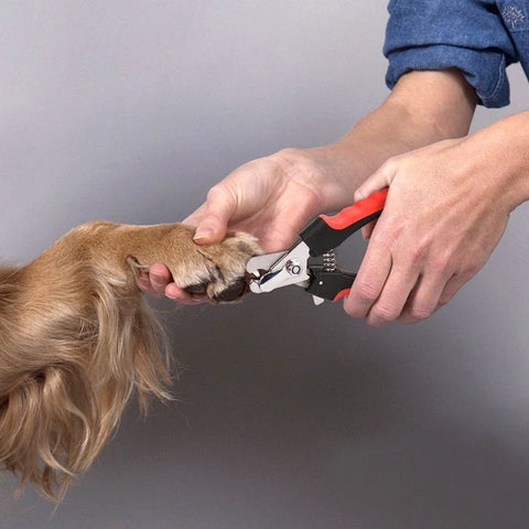 Pet Dog CAT Nail Clippers Professional Toe Cutter Trimmer Grooming Scissors tool
