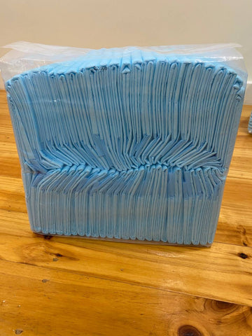 Pet Training Pads 400/200 Puppy Dog Toilet Pee Indoor Super Absorbent 60x60cm AU