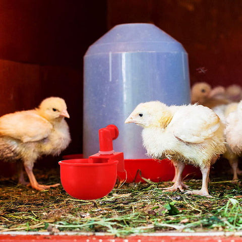 4X Automatic Chicken Water Cup Waterer Poultry Drinking Bowl Feeder Drinker