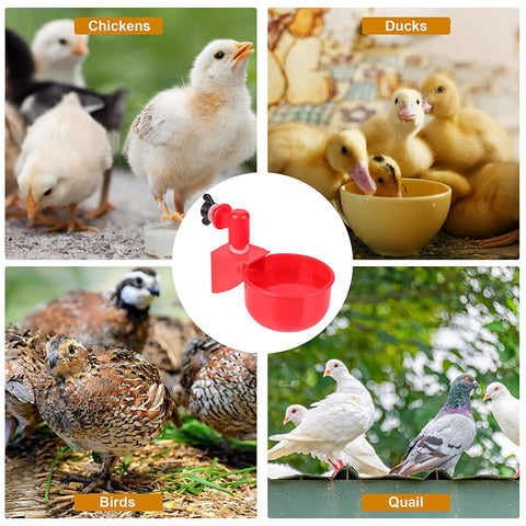 4X Automatic Chicken Water Cup Waterer Poultry Drinking Bowl Feeder Drinker