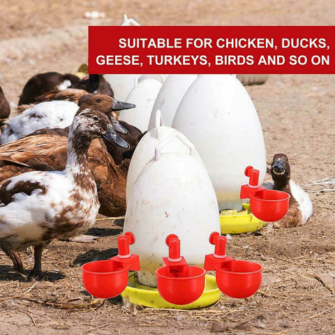 4X Automatic Chicken Water Cup Waterer Poultry Drinking Bowl Feeder Drinker