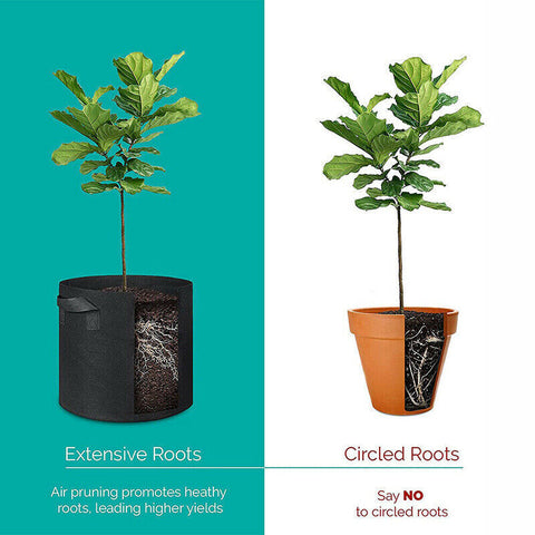 10 PACK Fabric Plant Grow Pots Breathable Planter Bags 3/5/7/10Gallon AU