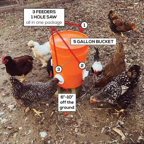 New Chicken Feeder Poultry Pro Feeder DIY Port PVC Gravity Fed Chicken Feeder AU