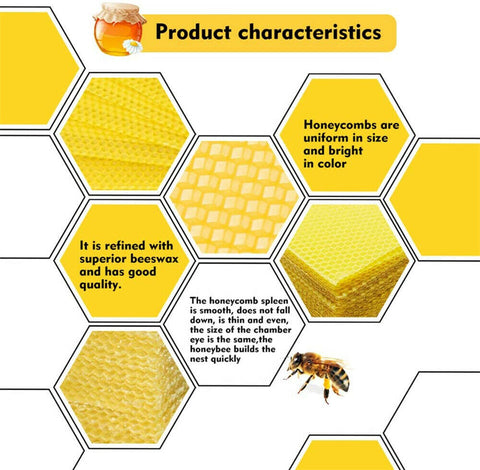 31x Honeycomb Foundation Hive Wax Frames Waxing Beekeeping Mesh Hat Equipment