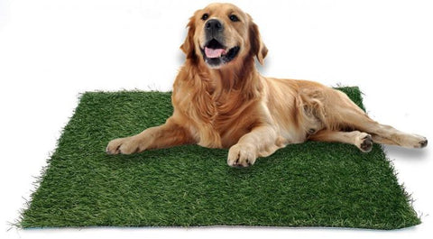 Dog Potty Tray  with Grass mat