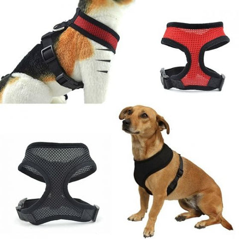 Dog Cat Harness Strap