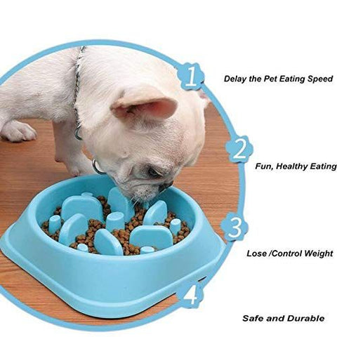 Dog Food Slow Feeder Puzzle Bowl