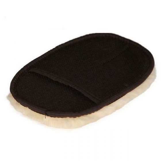 Car Care Cleaning Brush