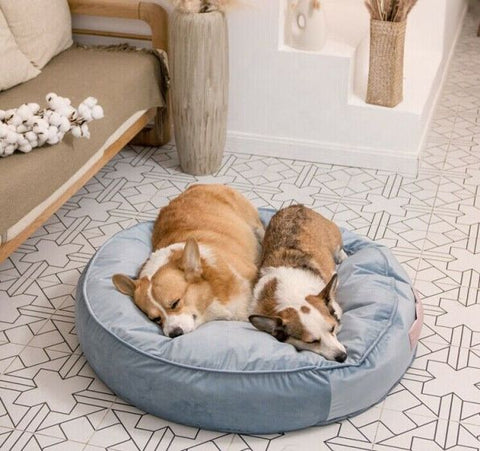 Pet Bed Barrie