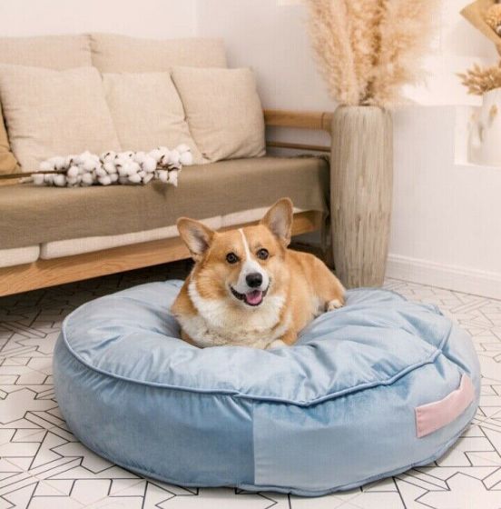 Pet Bed Barrie
