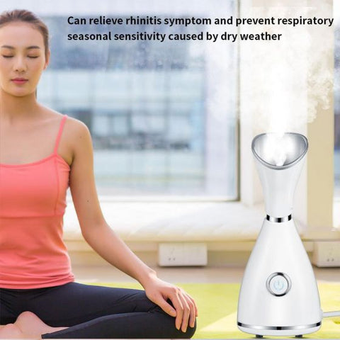Facial Steamer