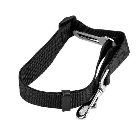 Dog car Seat  Belt