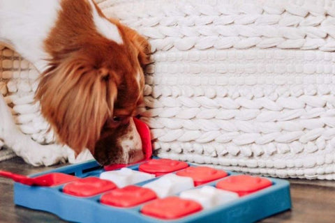 Pet Puzzle - Dog Brick