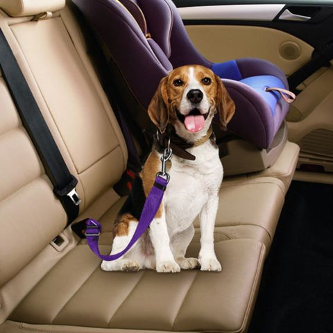 Dog car Seat  Belt