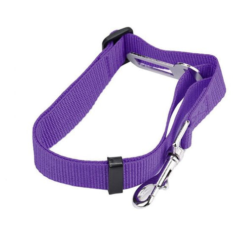 Dog car Seat  Belt