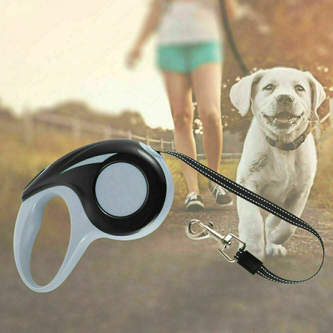 Extendable Pet Dog Lead Leash Collars Belt