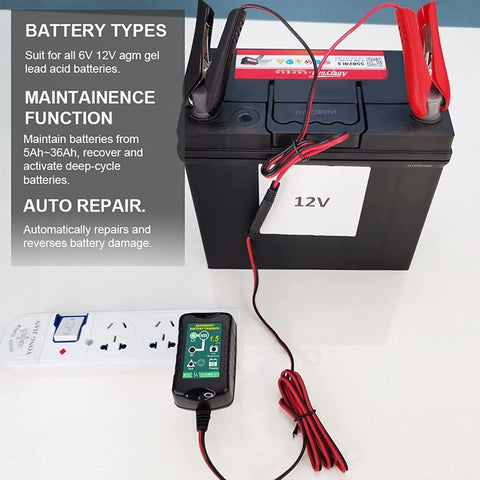 6V 12V Trickle Battery Charger