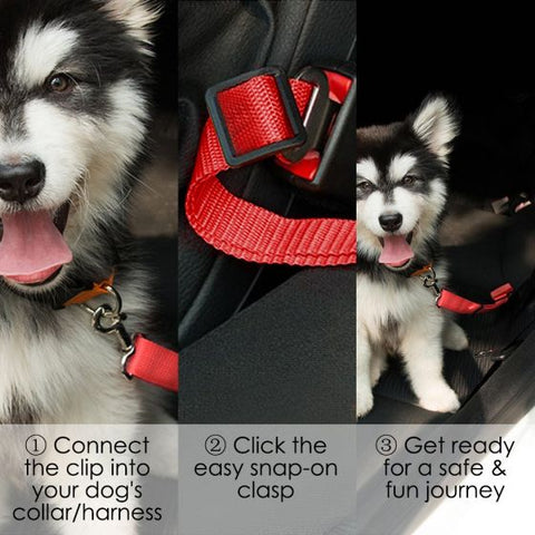 Dog car Seat  Belt