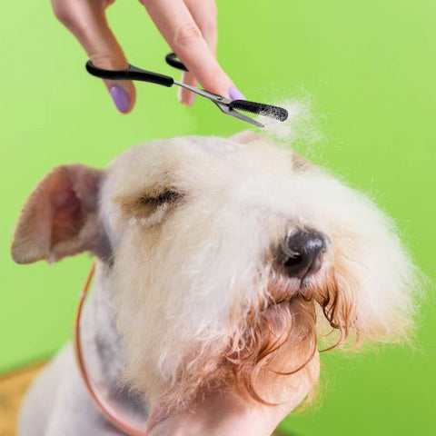 Eyebrow Trimmer Scissor