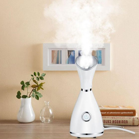 Facial Steamer
