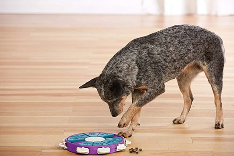Pet Puzzle Dog Twister