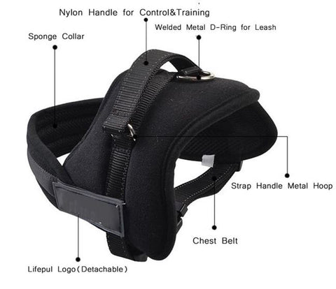 Dog Pulling Chest Harness