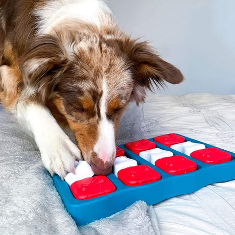 Pet Puzzle - Dog Brick