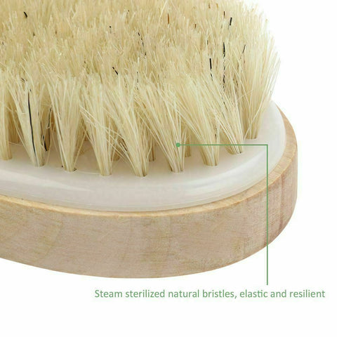Bath Brushes Modern Bristle Cellulite Shower Body Brush Dry Skin Scrubber