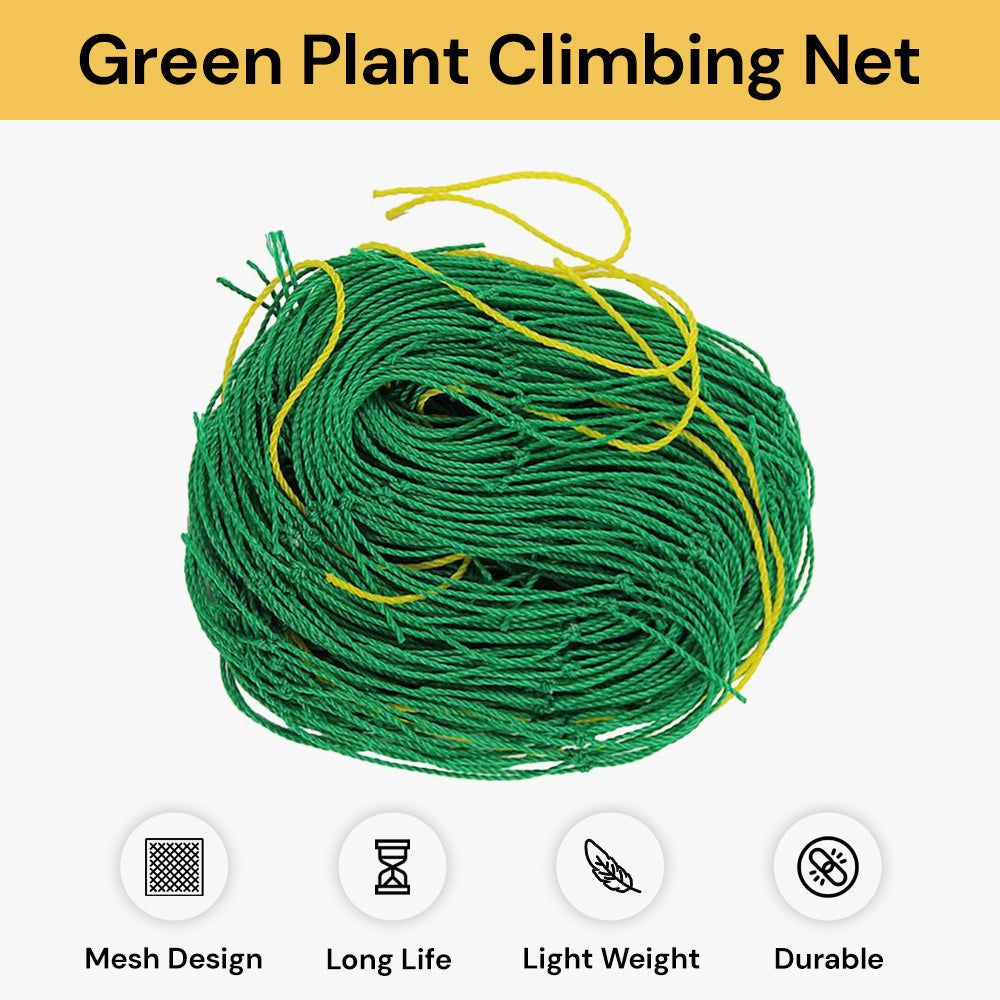 Green Plant Climbing Net