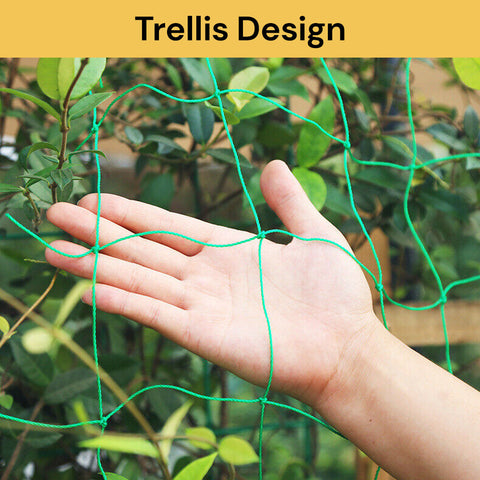 Green Plant Climbing Net