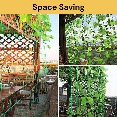 Green Plant Climbing Net