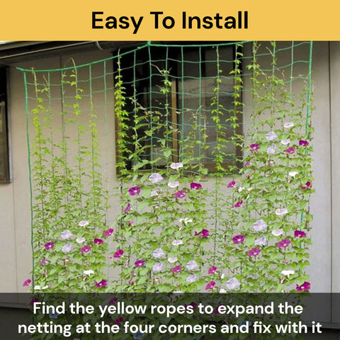 Green Plant Climbing Net