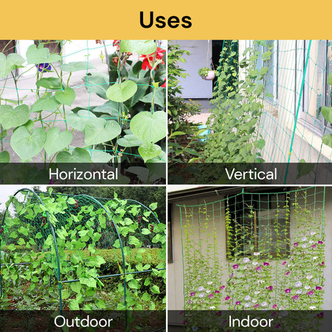 Green Plant Climbing Net