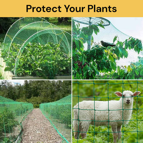 Green Plant Climbing Net