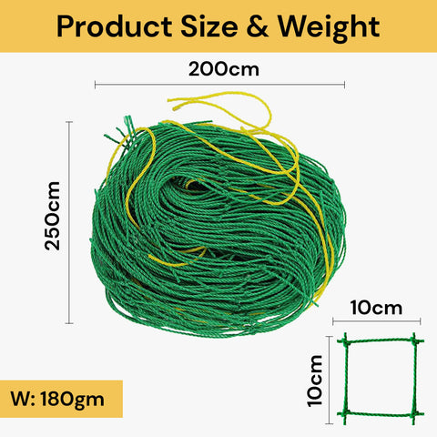 Green Plant Climbing Net