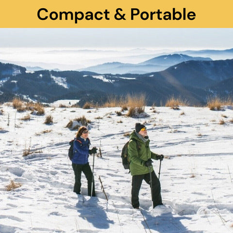 Telescopic Hiking/Trekking Pole