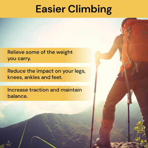 Telescopic Hiking/Trekking Pole