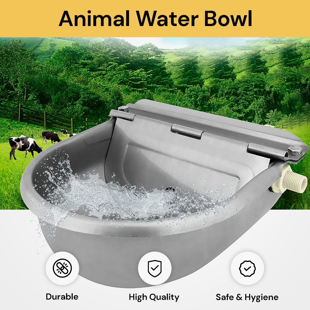 Automatic Water Bowl