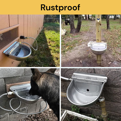 Automatic Water Bowl