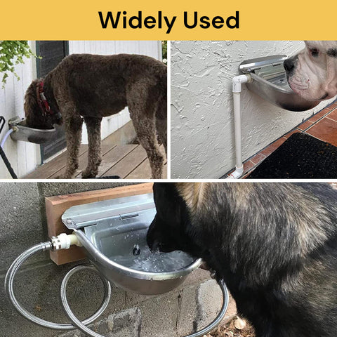 Automatic Water Bowl