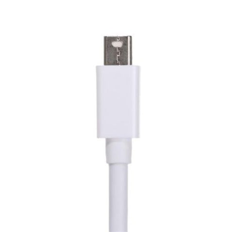 Mini DisplayPort to DVI-D Adapter