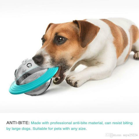 Dog Planet Treat Toy