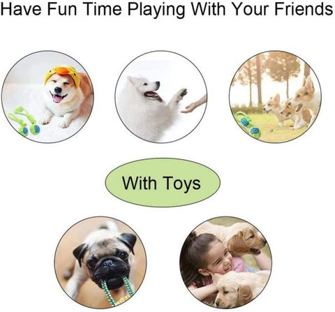 7Pcs Dog Rope Toys Braided Rope