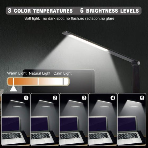 LED Desk Lamp with USB Charging Port