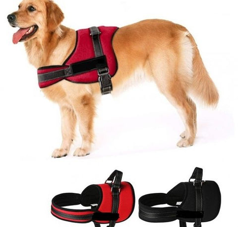 Dog Pulling Chest Harness