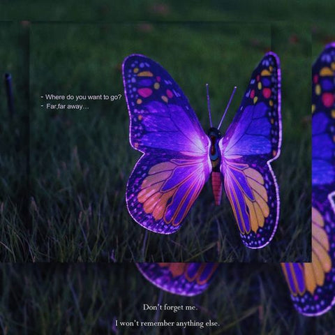 Garden Solar Butterfly light