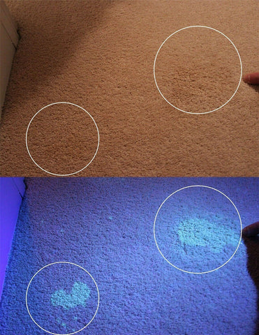 51 LED 395 nM UV Flashlight Ultraviolet Blacklight Aluminium Torch Light Lamp