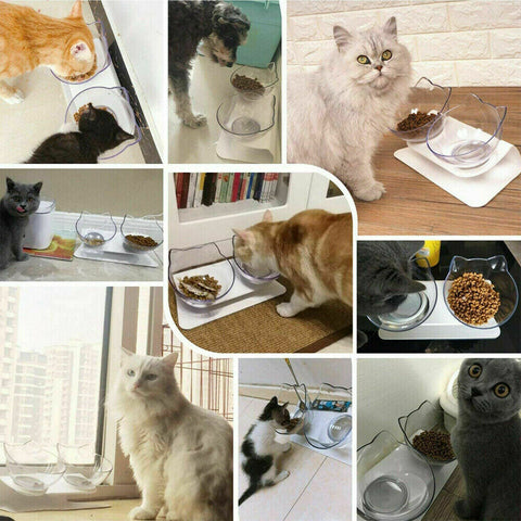 Double Elevated Pet Bowl Bowls Stand Cat Dog Feeder Food Water Raised Lifted