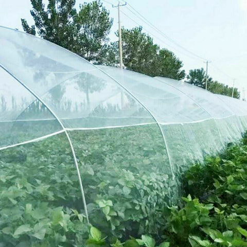 Garden Netting Crop Plant Protect Mesh 6/10M Bird Net Insect Less Than 5mm x 5mm