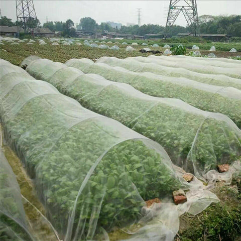 Garden Netting Crop Plant Protect Mesh 6/10M Bird Net Insect Less Than 5mm x 5mm